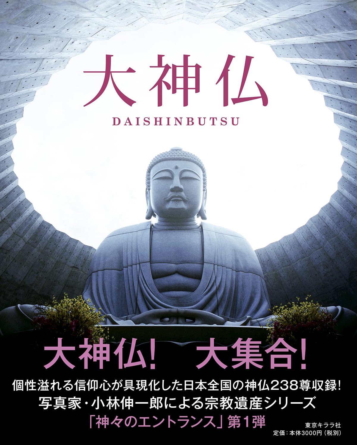 Amazon.co.jp: 大神仏 (神々のエントランス 1) : 小林 伸一郎, 小林